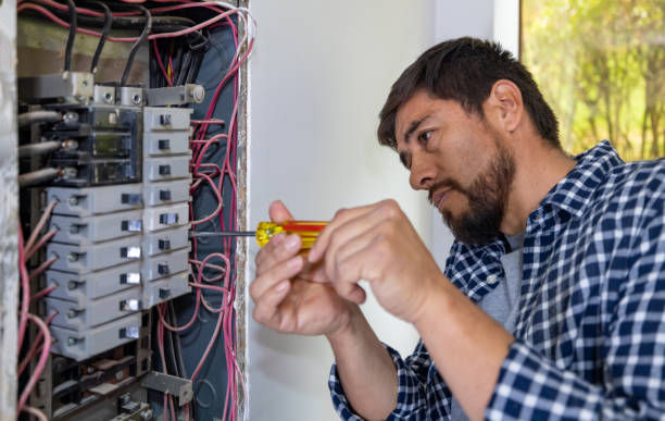 Best Local Electrician Companies  in Cleona, PA